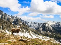 Unesco : revoir la copie des "Alpes de Méditerranée"