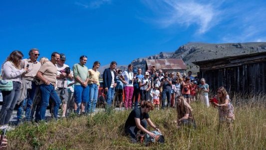 À Valberg, un râle des genêts et un faucon crécerelle retrouvent leur liberté après deux mois de soin