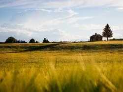 Marché immobilier : Les acquéreurs prennent la clé des champs