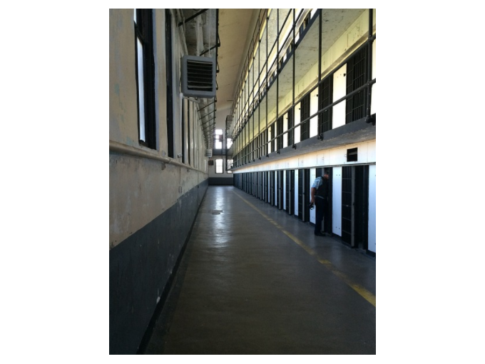 Prisons : la chèvre (…)