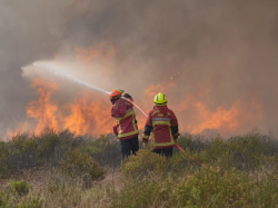 Canicules et incendies, la Fondation de France lance un appel à la générosité