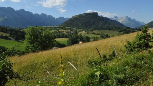 MSA-Etat : convention d'objectifs jusqu'en 2020