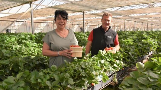 Hervé Beneventi, la qualité des fruits et légumes