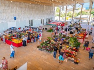 À Cannes, Bocca-centre poursuit sa transformation avec une nouvelle halle et un futur jardin public