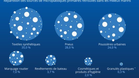 Pollution aux plastiques : avant qu'il ne soit trop tard...