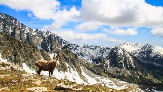 Unesco : revoir la copie des "Alpes de Méditerranée"