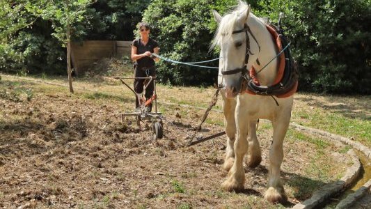 À La Valette-du-Var, les Rendez-vous aux Jardins ont illuminé la ville