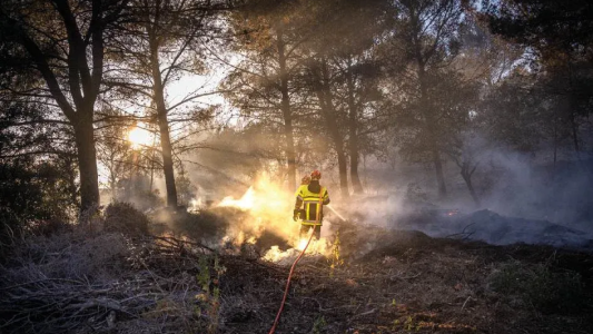 Forêt Modèle de Provence appelle à une refonte de la politique de prévention