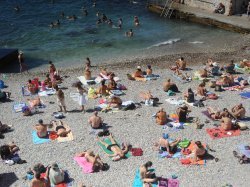 Déchets plastiques : ces villes qui s'engagent…