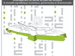 Présentation du projet Succes Alcotra en réunion publique le 1er juillet 2019 à 18 h