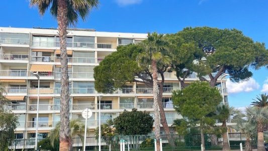 Mieux protéger les arbres en ville : Cannes déploie un barème d'évaluation 