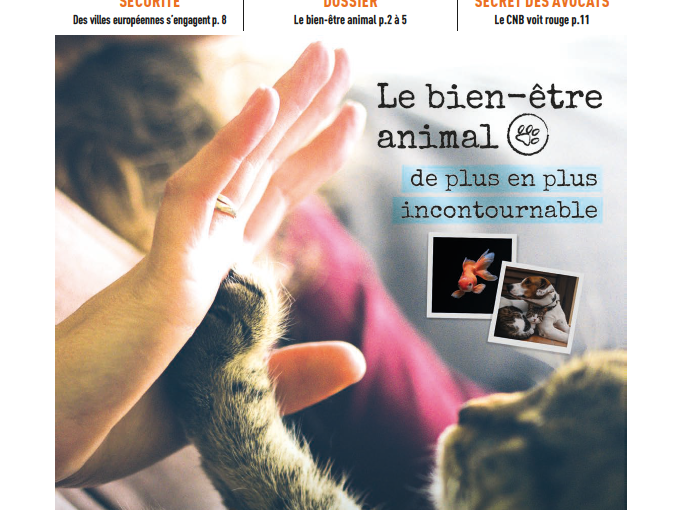 Les Petites Affiches (…)