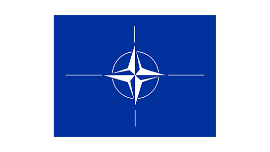 OTAN : mort cérébrale ou simple migraine ? L'Alliance traverse une crise sérieuse