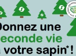 Cannes : opération de récupération et de recyclage des sapins de Noël