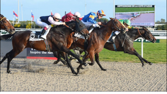 Meeting d'Hiver de l'Hippodrome de Cagnes : « Ca va décoiffer ! »
