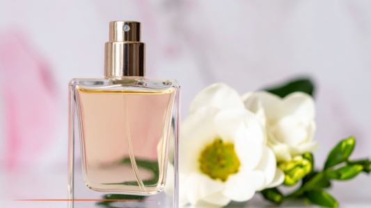 Cosmed décroche un financement d'un million d'euros pour accompagner la transition hydrique de la filière cosmétique