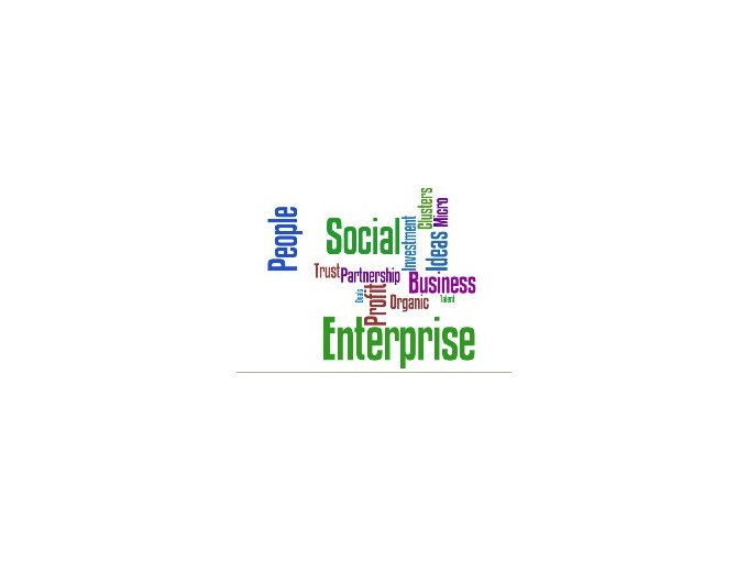 Le social business : (…)