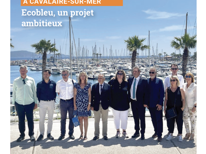 Petites Affiches VAR (…)