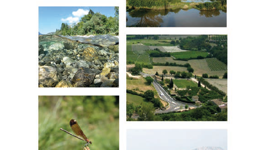 Agence régionale pour l'environnement Agence régionale de la biodiversité Paca : nouveaux locaux, nouveaux statuts, nouvelles missions