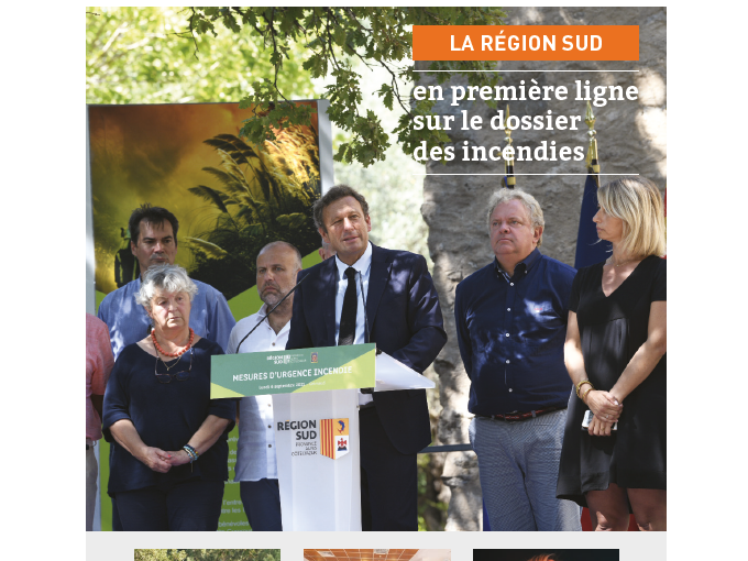 Petites Affiches VAR (…)