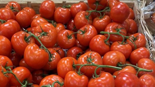 Où trouver des producteurs locaux dans le Var ?