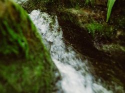 21,8 millions d'euros investis par l'agence de l'eau au 2e trimestre 2020 en Paca pour les projets en faveur de l'eau