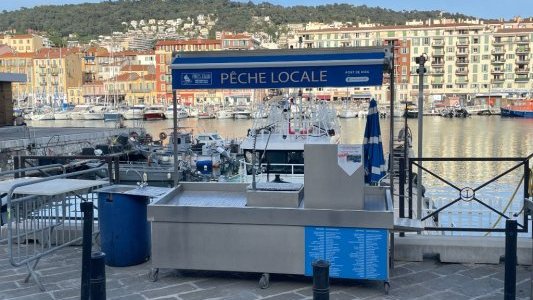 UNOC : Dès ce soir, le Port de Nice à nouveau accessible à tous