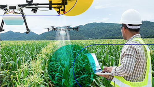 Le Cluster IA, cofondé par Docaposte, choisit l'agriculture pour lancer son 1er use case
