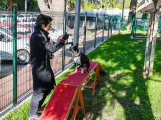 Cannes inaugure son premier Parc canin en centre-ville