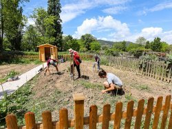 Cinq nouveaux jardins familiaux dans le quartier du Périer à Cannes 
