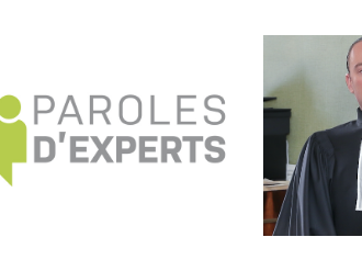 La responsabilité pénale des élus locaux