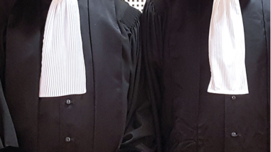 Liberté d'installation des avocats au Conseil d'État et à la Cour de cassation : l'Autorité rend son avis pour les années 2021-23 