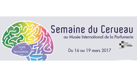 Tout tout tout, vous saurez tout sur le cerveau !