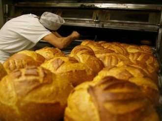 Performance vers l'emploi : les 7 CFA de l'Université des Métiers obtiennent le label