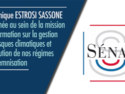 Dominique Estrosi Sassone nommée au Sénat au sein de la mission d'information sur la gestion des risques climatiques 
