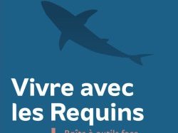 Boîte à outils « Vivre avec les Requins » : Et si l'on pouvait efficacement se protéger des attaques ?
