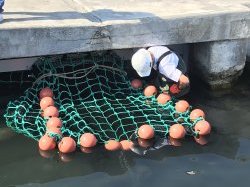 Cannes installe un filet de re ?cupe ?ration de microde ?chets sur un émissaire en mer, une première en milieu portuaire
