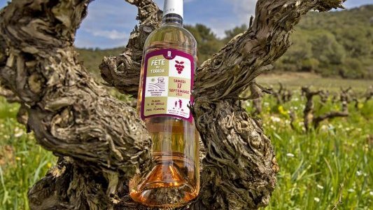 Au Pradet, une fête du terroir au goût de l'authenticité 