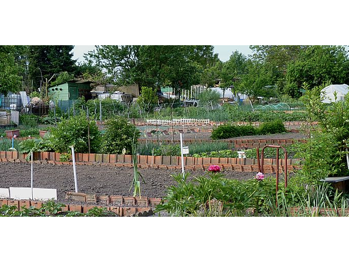 MOUGINS : Des jardins (…)