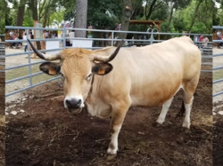 9ème édition du Salon des Agricultures de Provence
