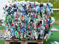 Cannes : lancement d'un plan « ze ?ro plastique » pour tous les utilisateurs du domaine public