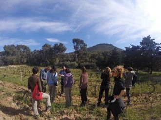 A Hyères, la crise sanitaire a changé la donne touristique