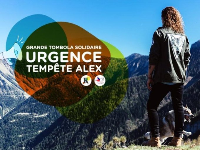 Quel(s) lot(s) allez-vous
