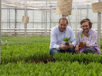 A Hyères, Valbray, premier producteur de muguet en pot de France !