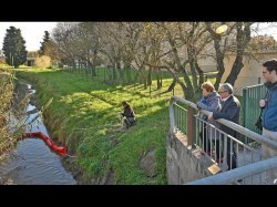 Des barrages anti-pollution pour la rivière des Amoureux