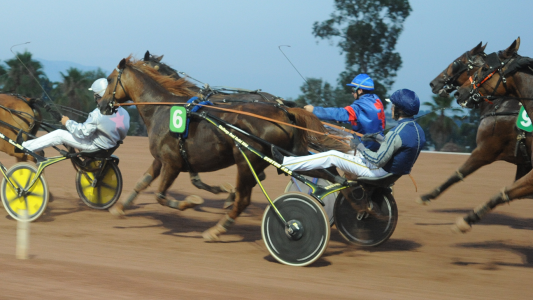 HIPPODROME DE LA CO ?TE D'AZUR : QUAND LE TROT FAIT SON SHOW