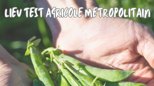 Un tremplin unique pour les futurs agriculteurs en métropole niçoise : Testez votre projet agricole sur un site équipé et accompagné !