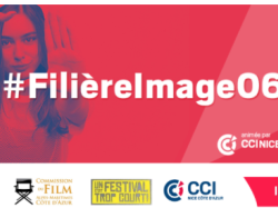 Journée professionnelle Un festival c'est trop court ! "Le financement des productions de contenus audiovisuels et cinématographiques"