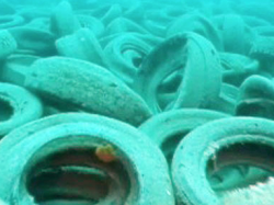 Fin septembre le département commence l'enlèvement de 25 000 pneus immergés sur les côtes de Vallauris