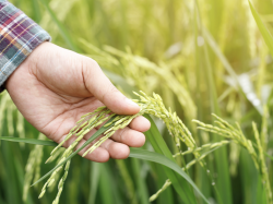 Agriculture : des permanences ouvertes dans les Alpes-Maritimes